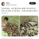 얌차 이미지