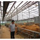 수월한우농장 이미지