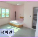 송정미연