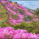 수변로 이미지