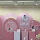 뷰티연 머니투데이