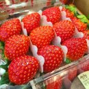 대림마트 이미지