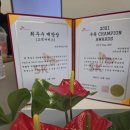 보라텔레콤