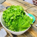 초원 | 부산 벡스코 밥집 추천 초원식당 후기(feat. 센텀시티)