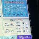[알레 버스] 해파랑길 49코스 후기 (고성 해파랑길 | 뚜벅이 여행 |쉼터 식당)