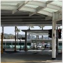 우정렌트카 | 제주 우정여행 단체 렌트카 추천, 제주엔젤카 카니발 9인승 후기 정보공유