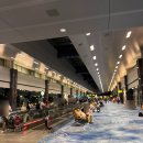 720 | 그리스여행 싱가포르 레이오버 스쿠트항공 TR720 후기 기내식 기내수화물 꿀팁 정리