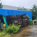 금산-59 이미지