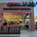 선동디자인 이미지