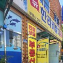 뉴한라비발디공인중개사사무소 | 원주 단계이안 붕어빵 겨울 간식 끝판왕