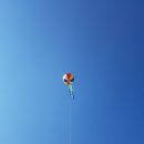 진주원예농업협동조합 이미지