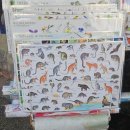 보여축산 | 호주 퍼스 여행-⑨ 🥭 프리맨틀에서의 마지막 하루, 싱가포르 항공 후기✈️