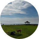 대정농업협동조합 | 15개월 아기랑 2박 3일 제주여행 | 1일차 (OZ8921, 운진항, 마라도, 옥돔식당, 대정농협, 자리돔횟집)