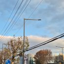 용산-238 | 800m 러닝코스 용산공원 장교숙소단지 후기