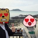 에니스케리 이미지