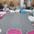 중장년 여성을 위한 새로운 기회-구리 남양주 산후도우미 취업, 자격증, 구인구직