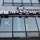 개 편한 세상 이미지