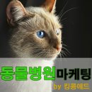 동물병원 마케팅 합리적 가격의 킹콩애드