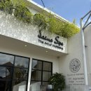 신 기 | [발리 신혼여행] 발리 신행 - 2 (우붓에서 고급마사지, 판데에기 솔직후기, 우붓술집)