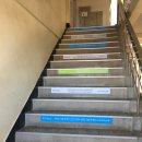 과천여자고등학교 이미지