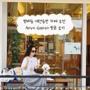더 젤라또(THE GELATO) | 방배동 애견동반 카페 추천 Alora Gelato 방문 후기