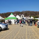 이천 백사 산수유꽃 축제에 다녀왔습니다 이미지