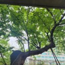 명주당