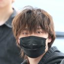 복슬강아지 이미지