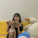크로플덕오리아가씨부천점 | 바삭한 크로플이 땡길 때 크로플덕 오리아가씨 부천점 배달 후기