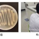 농업기술센터 유용미생물배양장 이미지