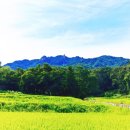 풍년염소농장 이미지