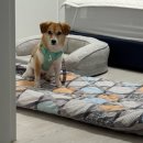 평촌시민약국 이미지