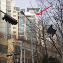 신흥로 190-1 이미지