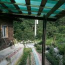 버들치민박 이미지