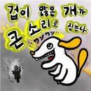 야생마식당 | [EP.168] 입고(IB) 계약직 후기