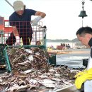 프린스 펫타운 이미지