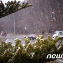 시샘 이미지