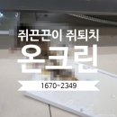 말번식센터 2층 | 쥐끈끈이 쥐퇴치 가능할까? 직접 써본 후기와 방역 전문가 조언