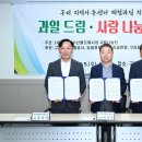 드림청과