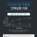 플러스슈퍼 이미지