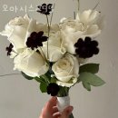 버스정류장 05-199 | 연남동꽃집 오아시스295 부모님 생신 선물