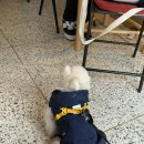 페이보릿커피