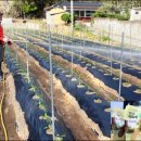 화순군농업기술센터 이미지