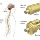 로이병원 이미지