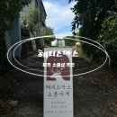 혜리스마스 소품가게 : 제주 동쪽 세화 구좌읍 소품샵