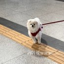 이플러스할인마트 네이버블로그