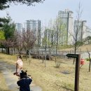 녹색미래과학관 주차장 앞 이미지