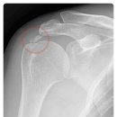 진솔한의원 이미지