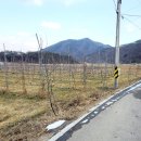 사과나무공인중개사사무소 이미지