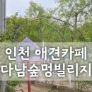 바울농장 | 인천 계양구 반려견 운동장 다남숲 멍빌리지 🌿 | 오프리쉬+배달 가능! 봄 나들이 솔직후기